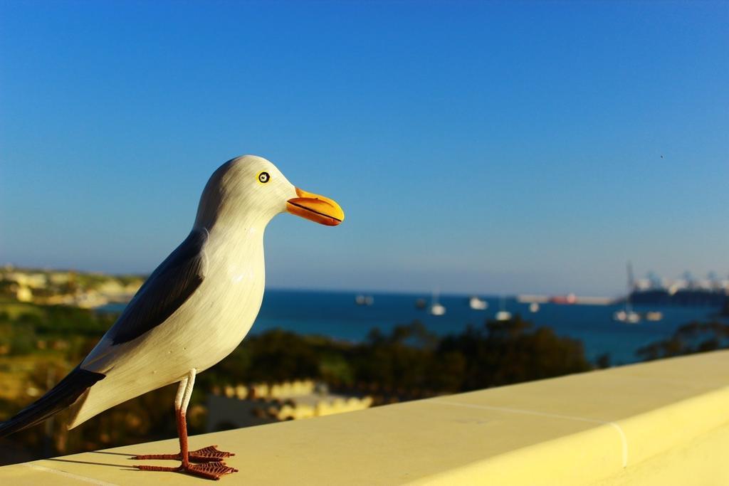 شقة Seagull Penthouse مرسلوك المظهر الخارجي الصورة